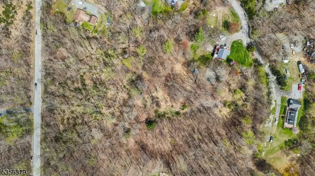 a view of a dry yard with trees
