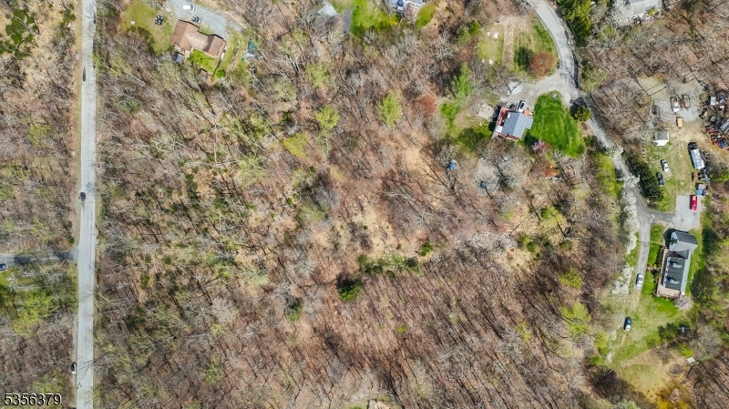 13 Oak Ridge Road Montague, NJ 07827 - Photo 20 of 24 a close up of a plant