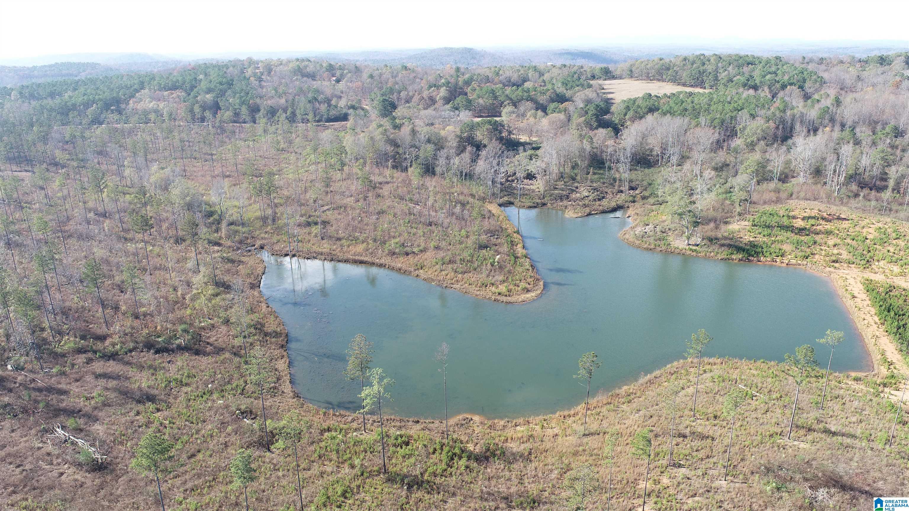 121 County Road, Unit 1 Wedowee, AL 36278 - Photo 2 of 7 Gallery Image 2