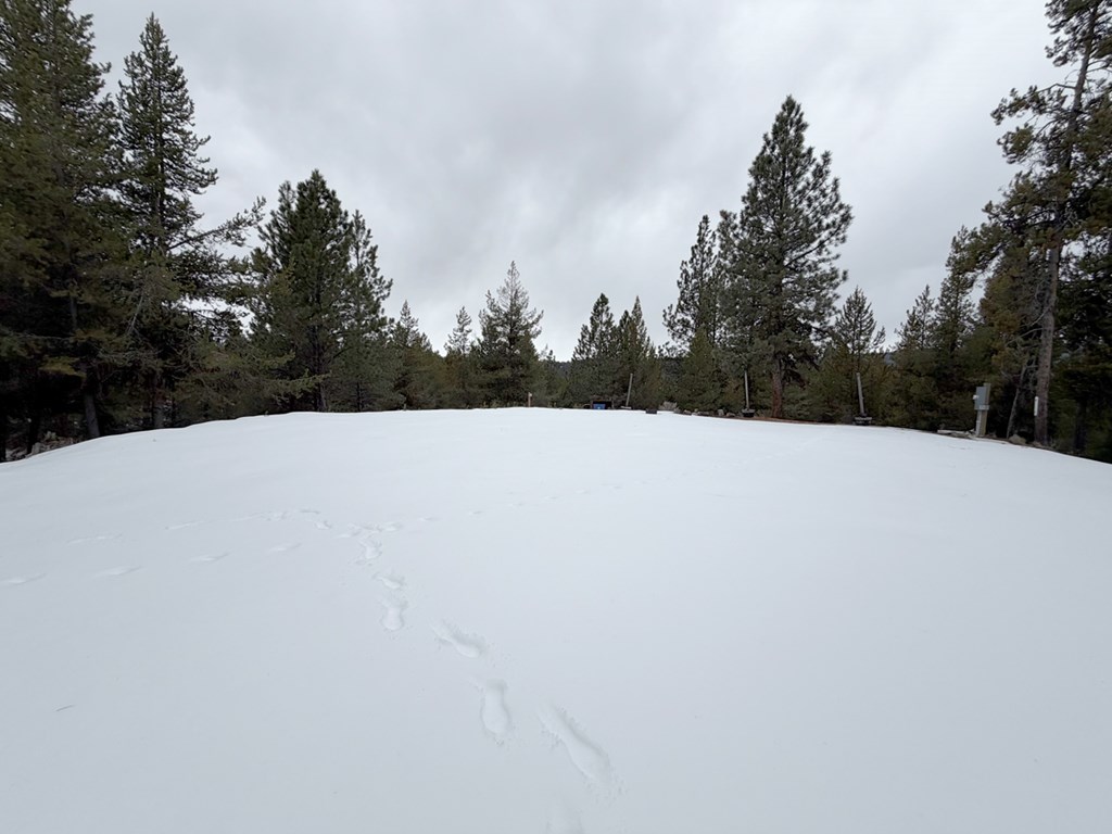 211 Pointes Road, Unit 26 Cascade, ID 83611 - Photo 8 of 14 12 X 16 Shed with a Loft