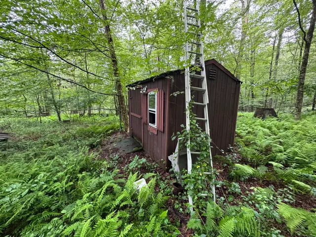 a view of outdoor space and garden