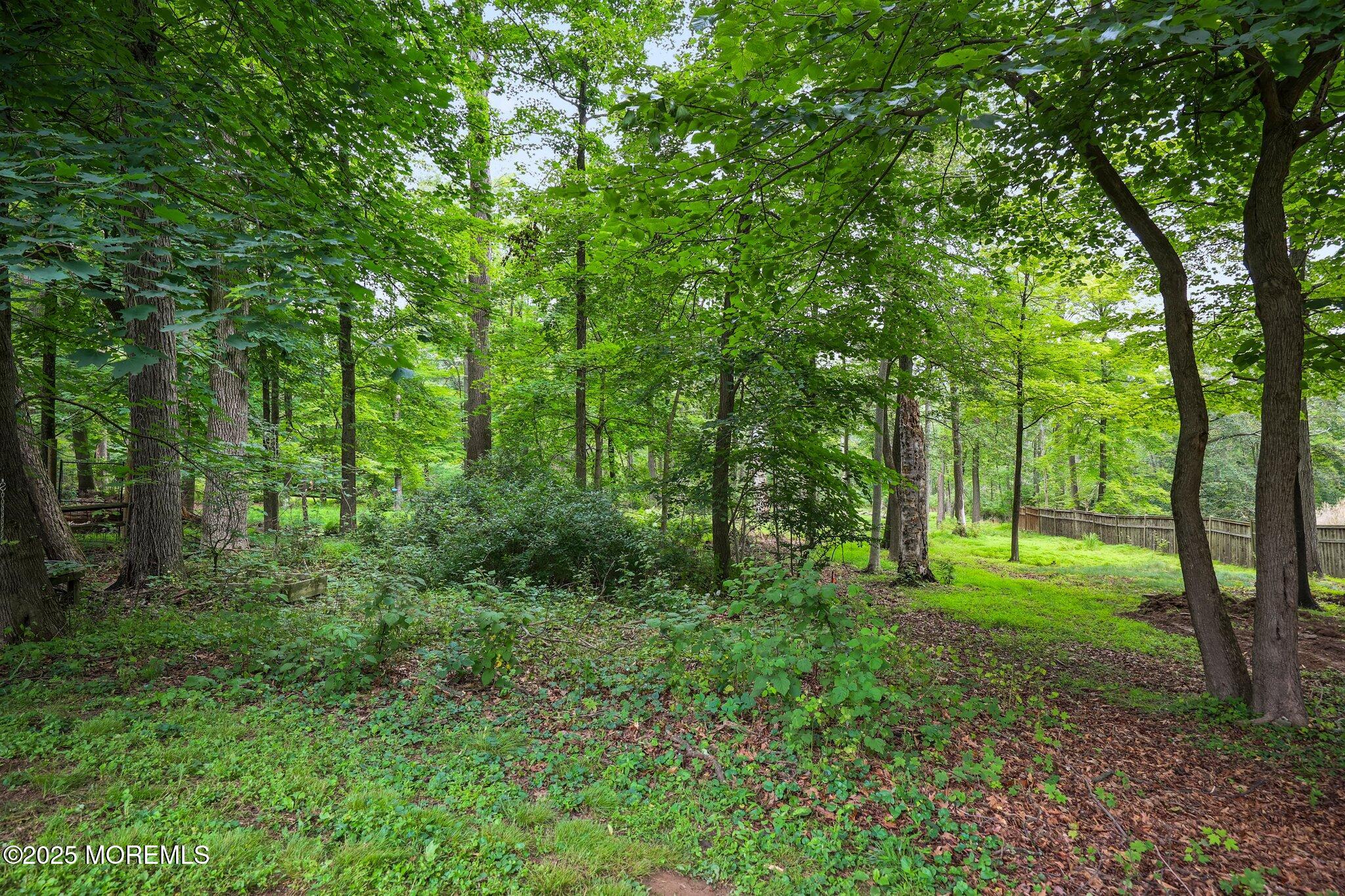 148 Reservoir Road Hopewell, NJ 08525 - Photo 38 of 44 13-web-or-mls-LPM_4529