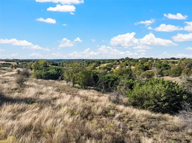 a view of a bunch of trees in a field