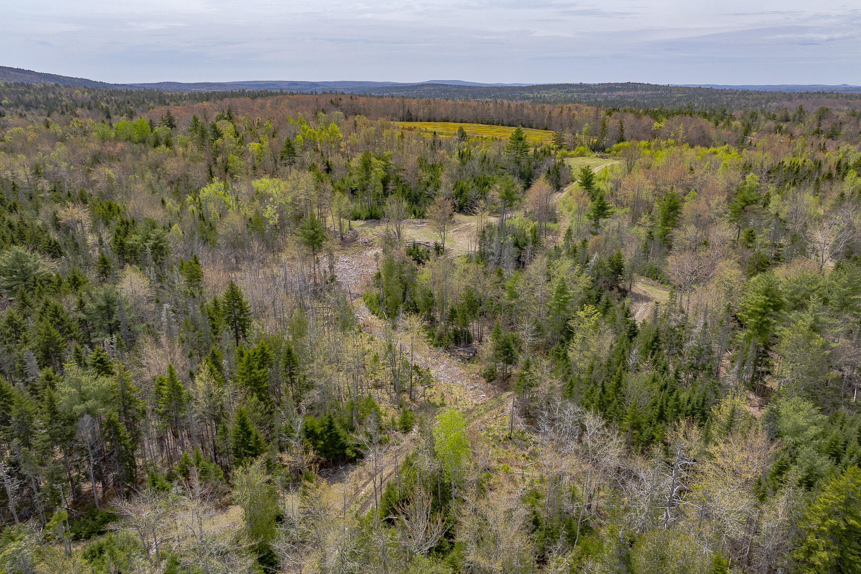 475 A Range Road Blue Hill, ME 04614 - Photo 17 of 24 27-475 Range Road HiRes-DTP