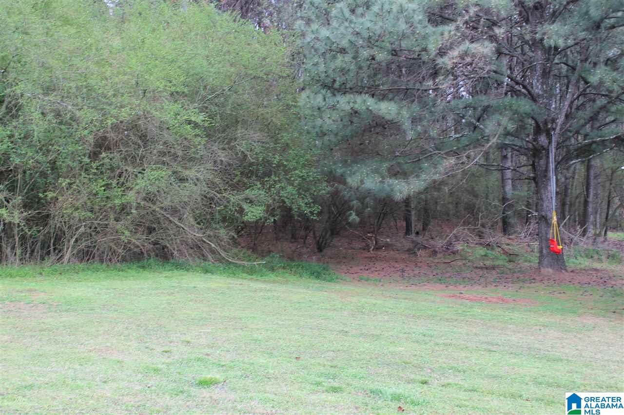 1014 County Road 1650 Cullman, AL 35055 - Photo 22 of 23