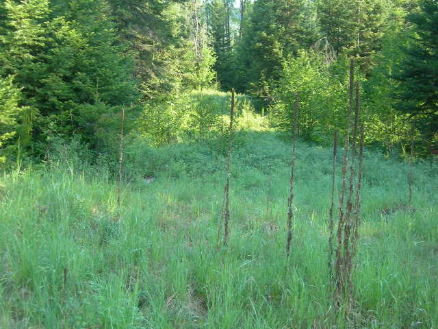 Nna Spring Valley Road Newport, WA 99156 - Photo 2 of 7 Gallery Image 2