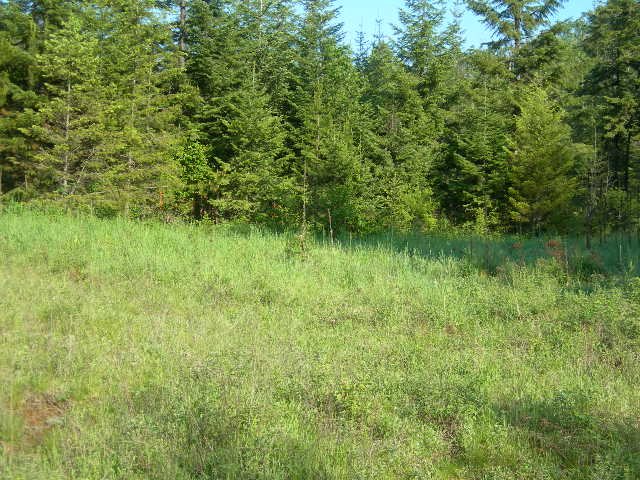 Nna Spring Valley Road Newport, WA 99156 - Photo 5 of 7 Gallery Image 5