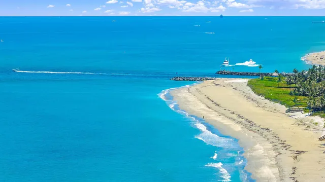 a front view of a house with a yard and potted plants