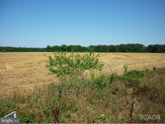 Johnson Road Seaford, DE 19973 - Photo 1 of 1 Gallery Image 1