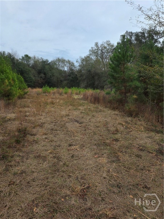 861 Brinson Road Brooklet, GA 30415 - Photo 3 of 6 Gallery Image 3