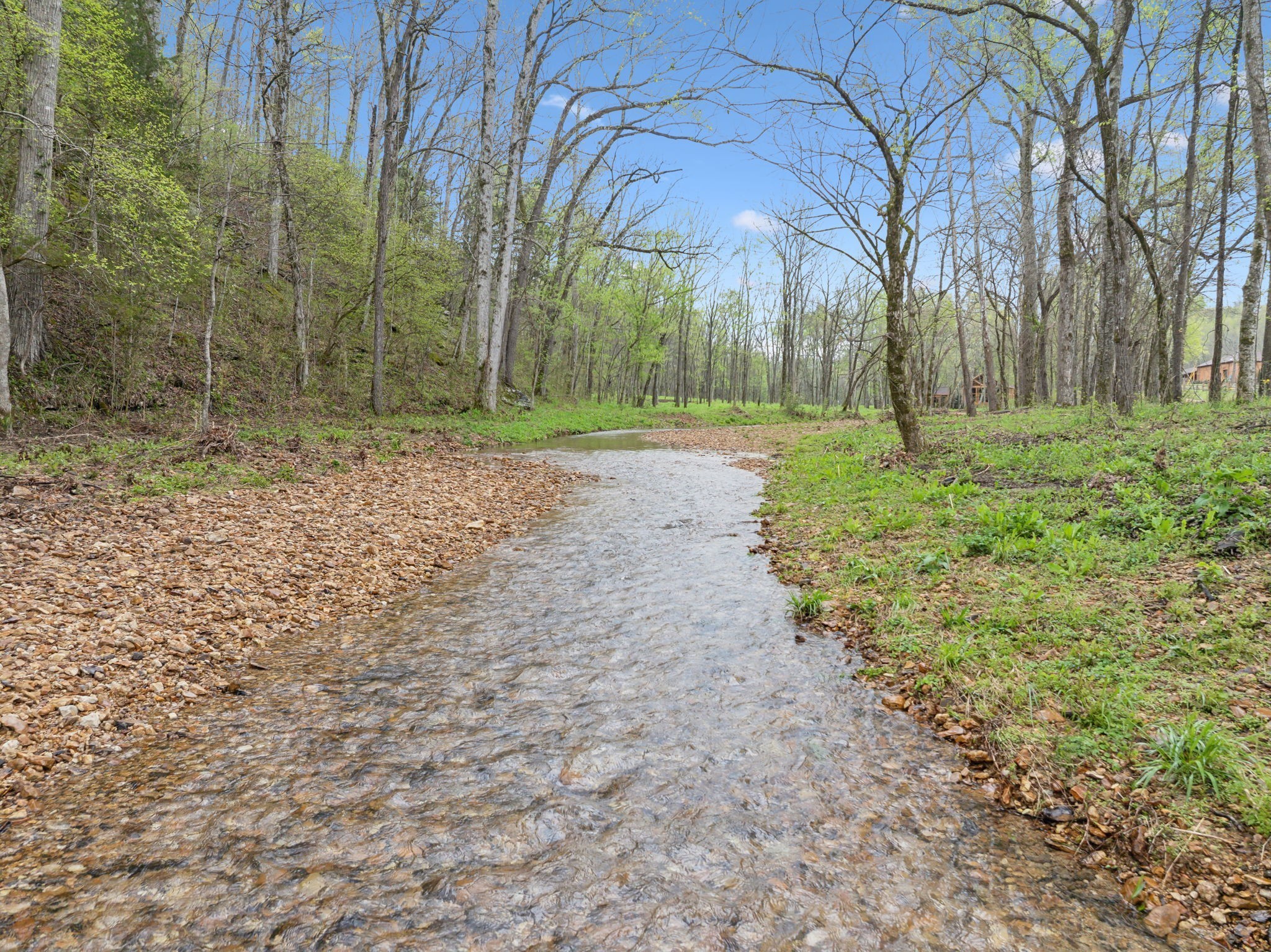 3105 Coy Hill Road Olivehill, TN 38475 - Photo 6 of 95 a backyard of a house with lots of green space
