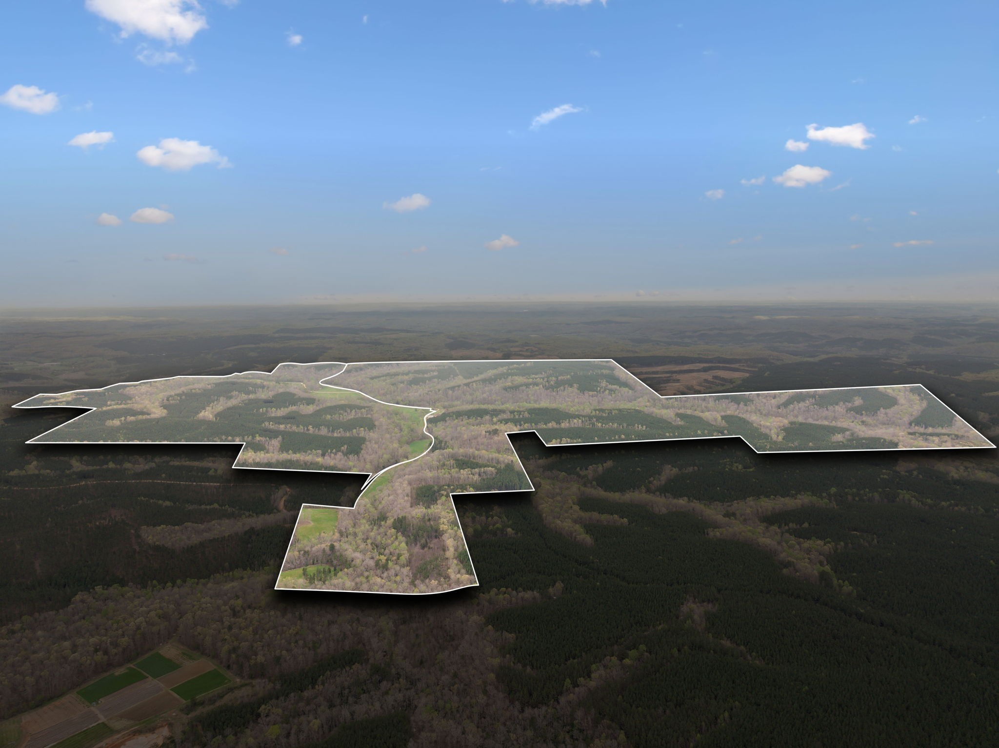 3105 Coy Hill Road Olivehill, TN 38475 - Photo 6 of 100