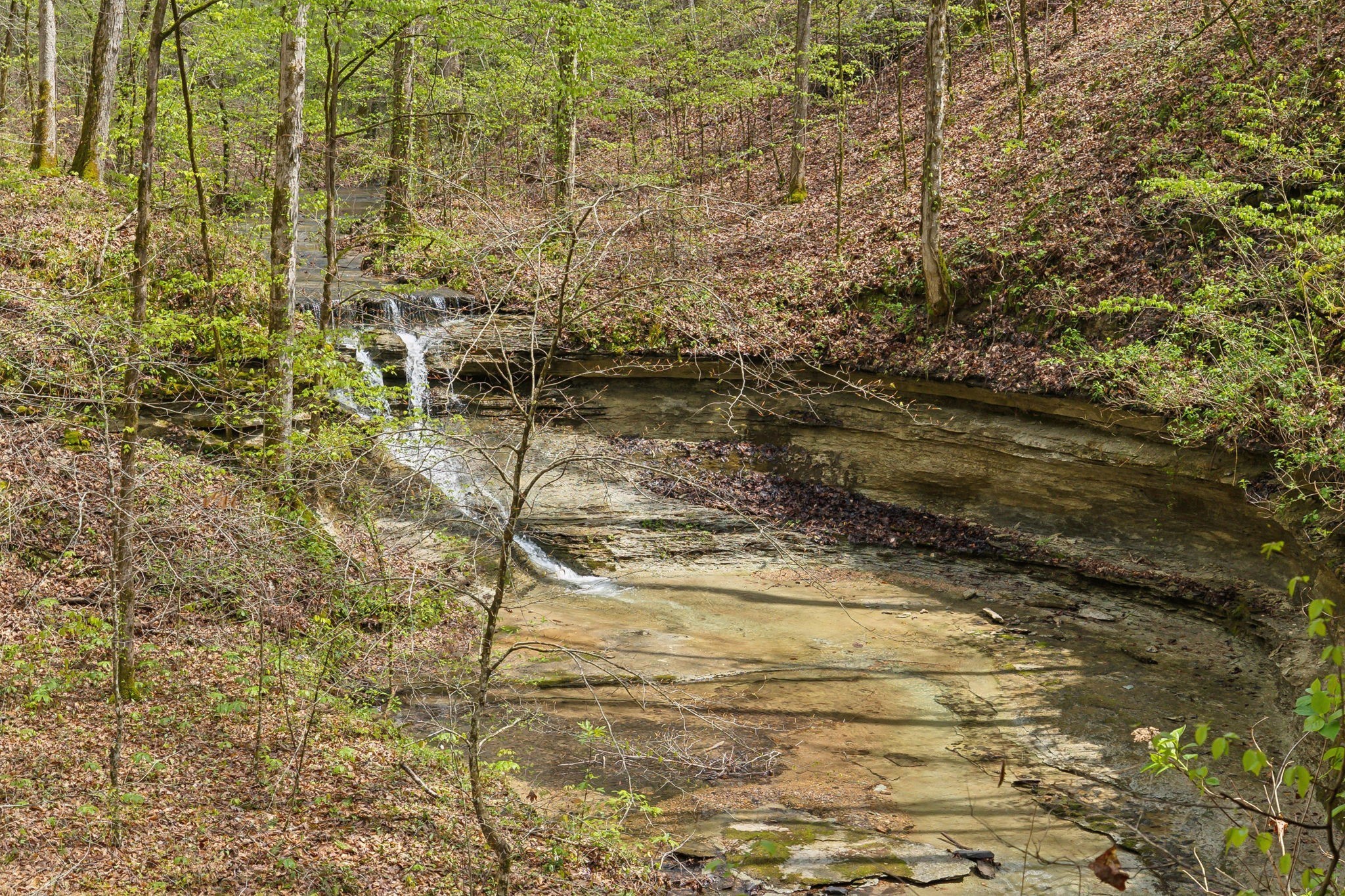 3105 Coy Hill Road Olivehill, TN 38475 - Photo 68 of 100