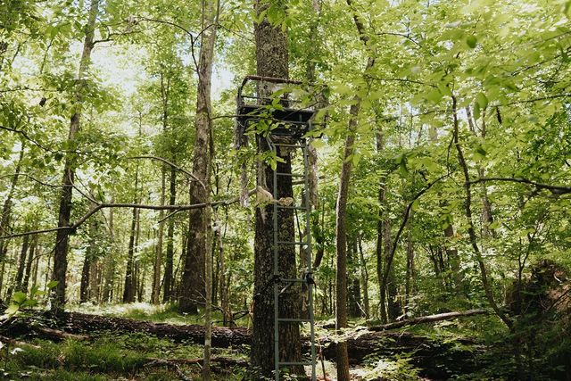 $12,499,000 | 3105 Coy Hill Road, Olivehill, TN 38475