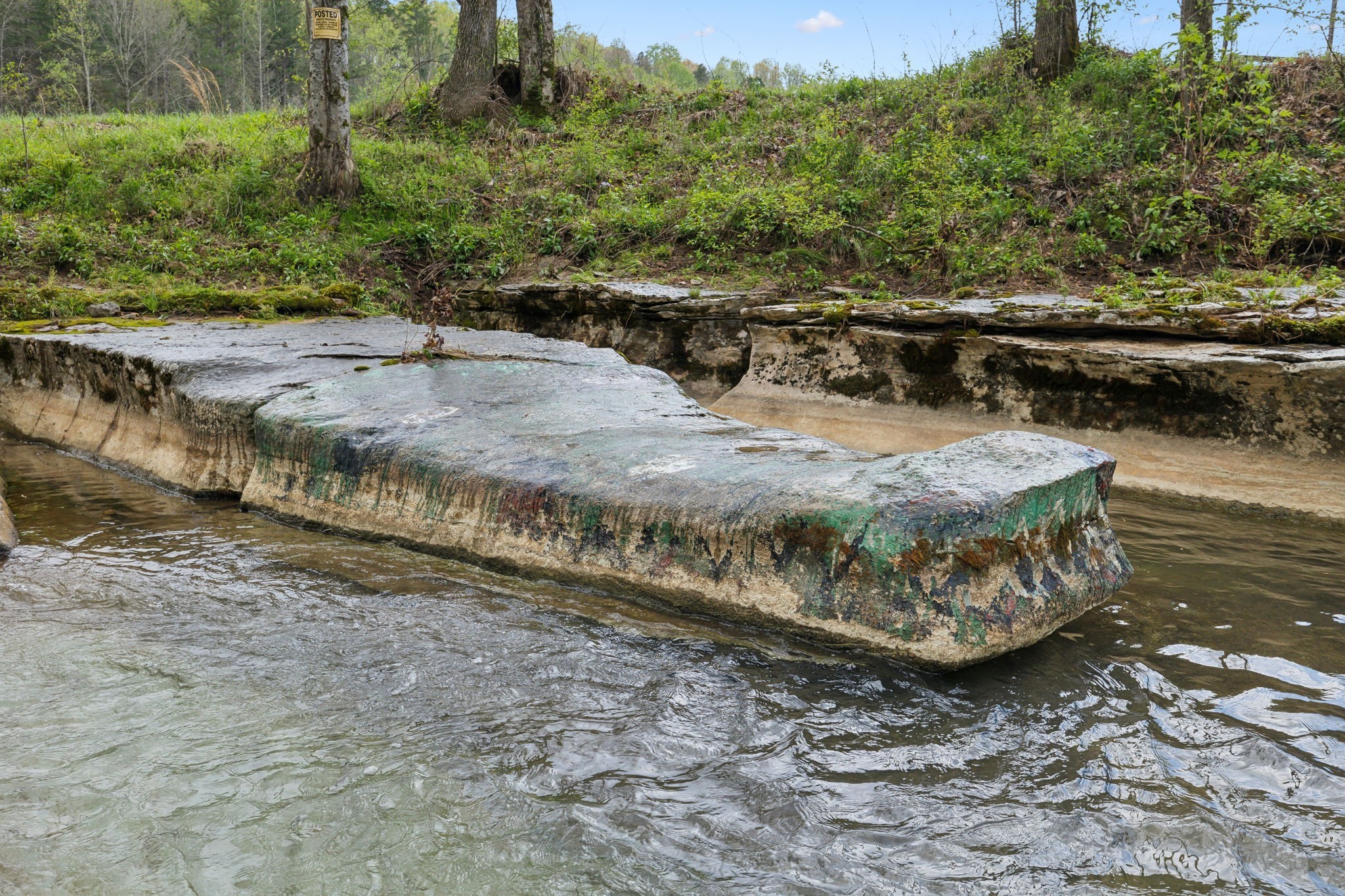 3105 Coy Hill Road Olivehill, TN 38475 - Photo 85 of 100 a view of a yard with an outdoor space