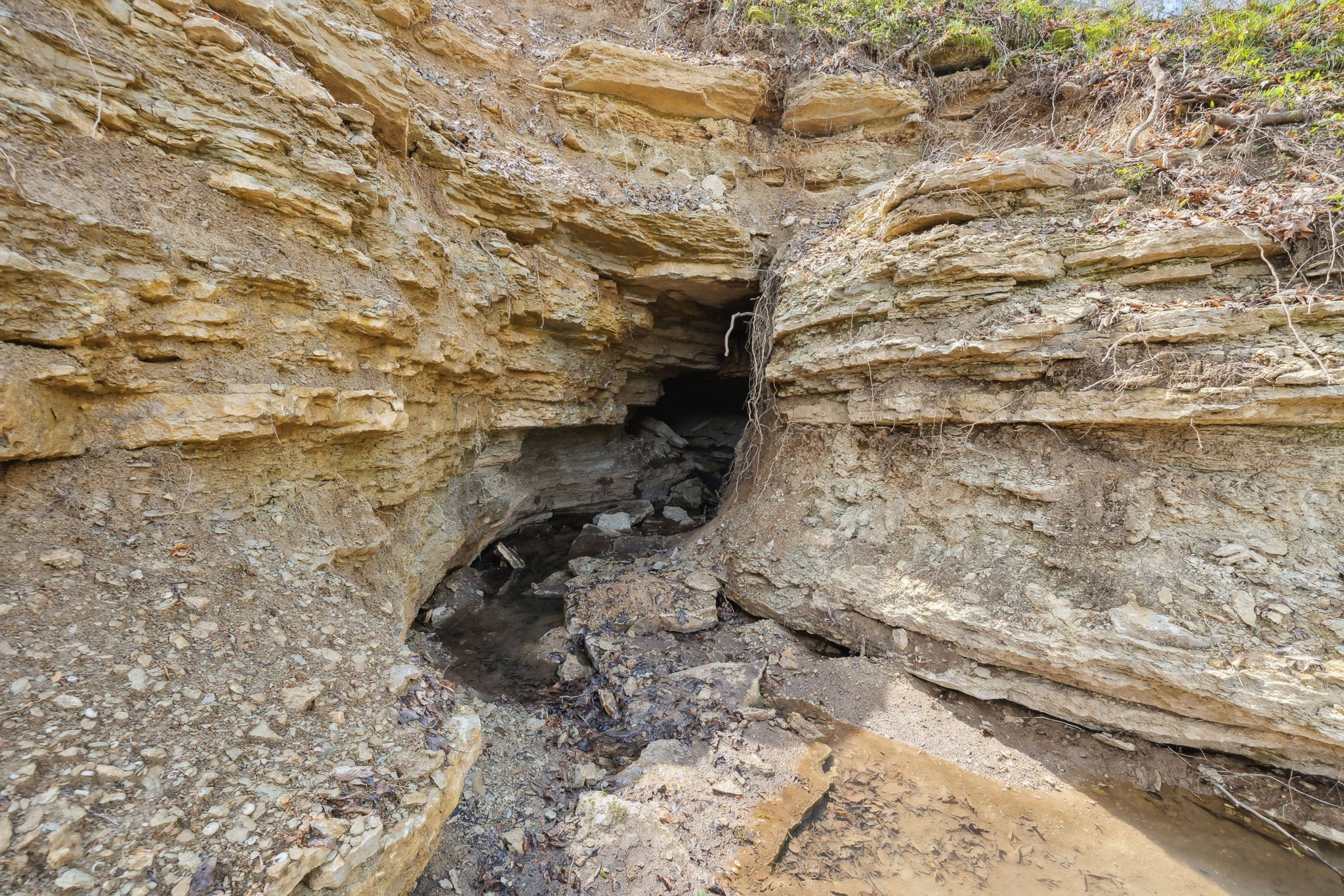 3105 Coy Hill Road Olivehill, TN 38475 - Photo 92 of 95