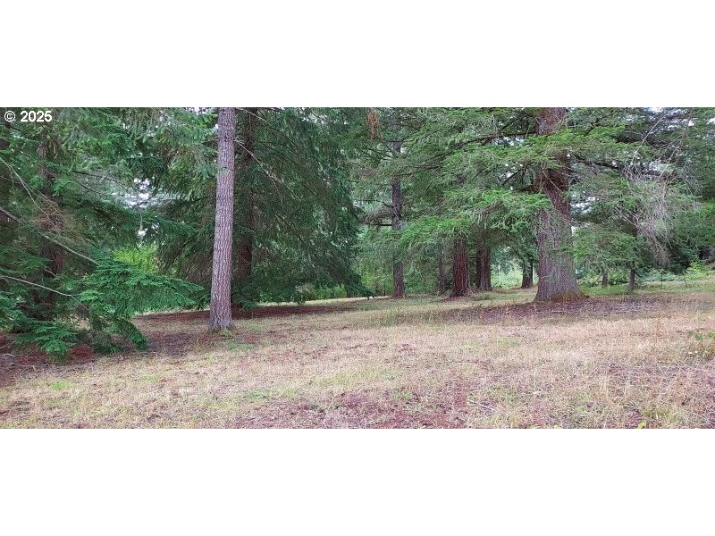 27111 South Hillockburn Road Estacada, OR 97023 - Photo 1 of 37 Gallery Image 1