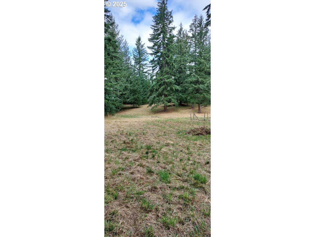27111 South Hillockburn Road Estacada, OR 97023 - Photo 11 of 37 Gallery Image 11