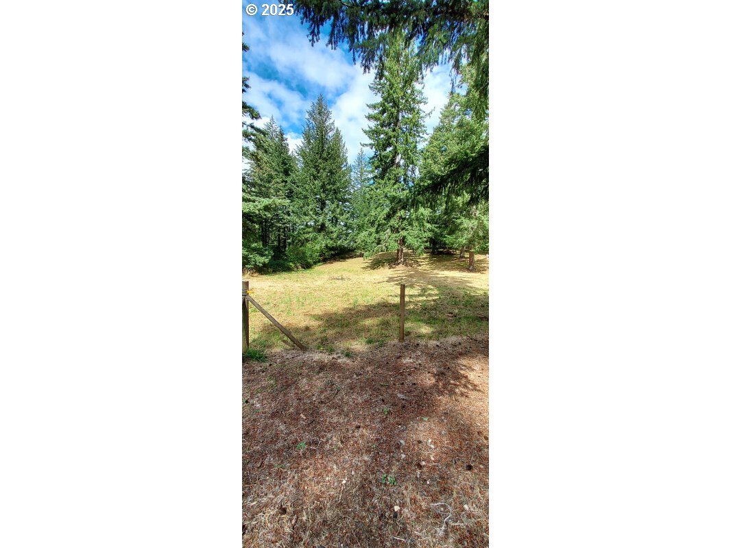 27111 South Hillockburn Road Estacada, OR 97023 - Photo 13 of 37 Gallery Image 13
