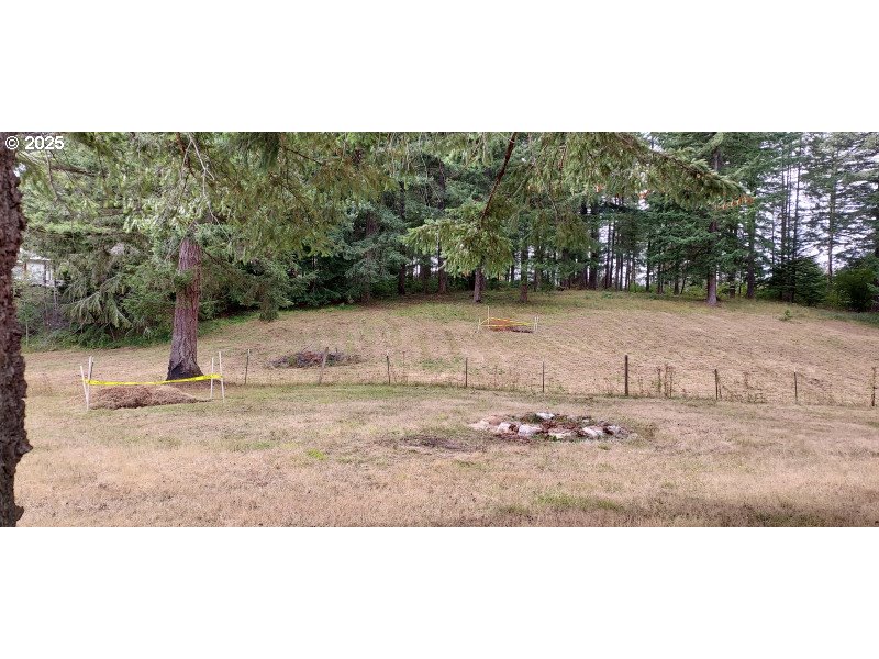 27111 South Hillockburn Road Estacada, OR 97023 - Photo 14 of 37 Gallery Image 14