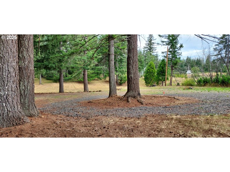 27111 South Hillockburn Road Estacada, OR 97023 - Photo 18 of 37 Gallery Image 18