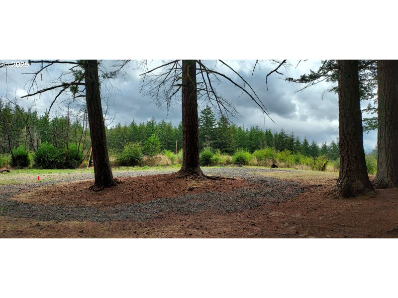 27111 South Hillockburn Road Estacada, OR 97023 - Photo 2 of 37 Gallery Image 2