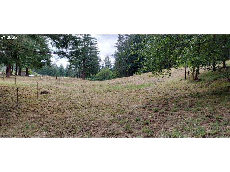 27111 South Hillockburn Road Estacada, OR 97023 - Photo 24 of 37 Gallery Image 24