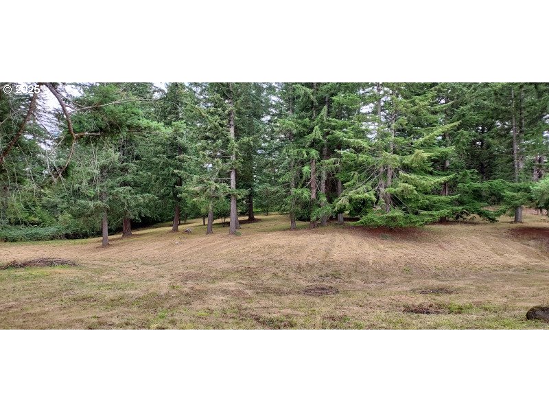 27111 South Hillockburn Road Estacada, OR 97023 - Photo 31 of 37 Gallery Image 31