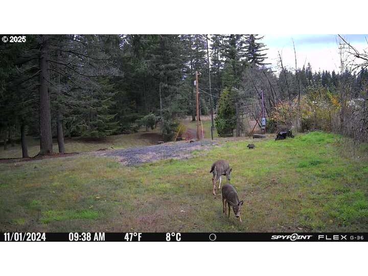 27111 South Hillockburn Road Estacada, OR 97023 - Photo 36 of 37 Gallery Image 36