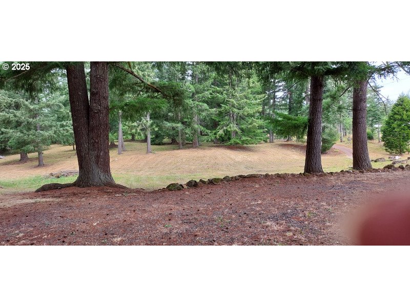 27111 South Hillockburn Road Estacada, OR 97023 - Photo 4 of 37 Gallery Image 4