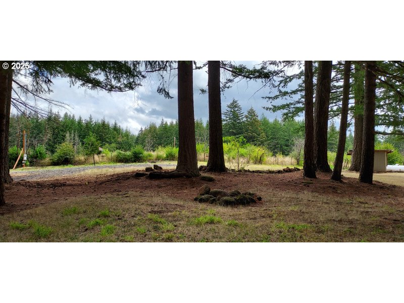 27111 South Hillockburn Road Estacada, OR 97023 - Photo 5 of 37 Gallery Image 5