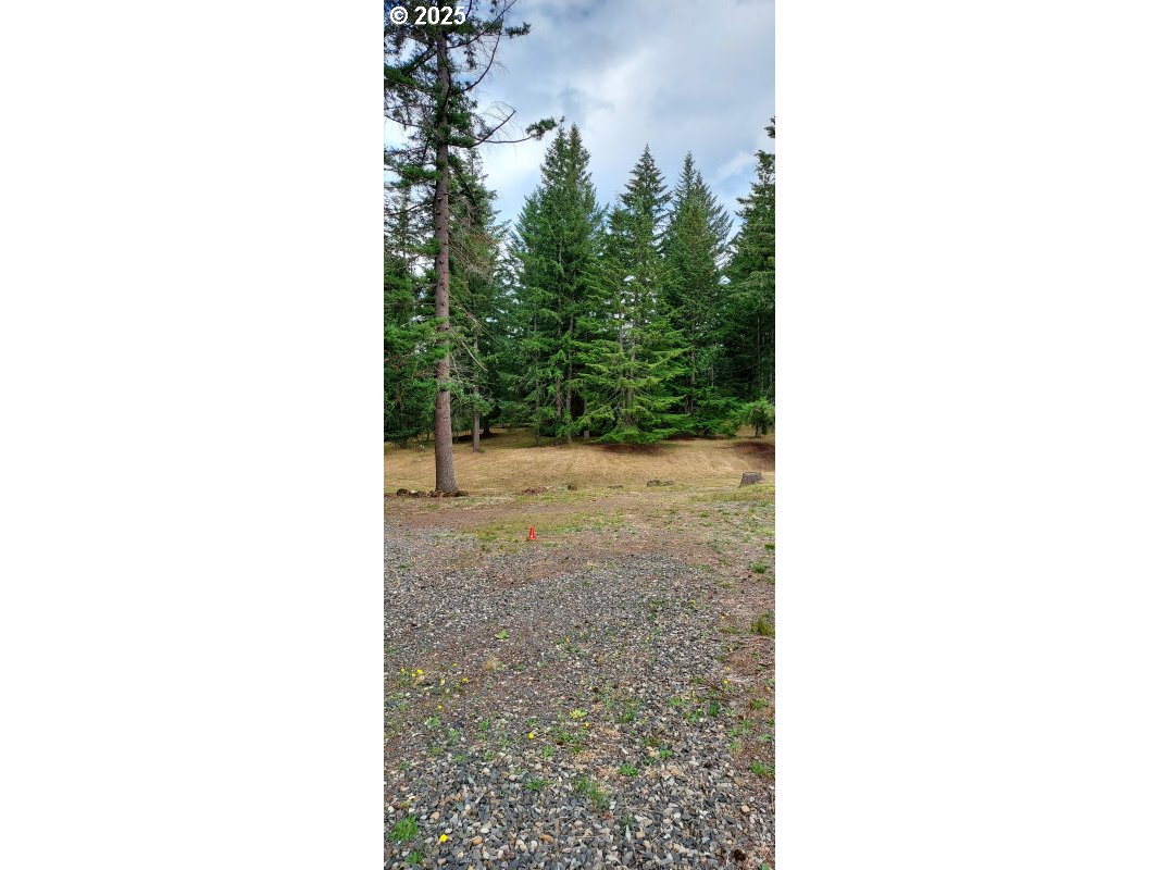 27111 South Hillockburn Road Estacada, OR 97023 - Photo 6 of 37 Gallery Image 6