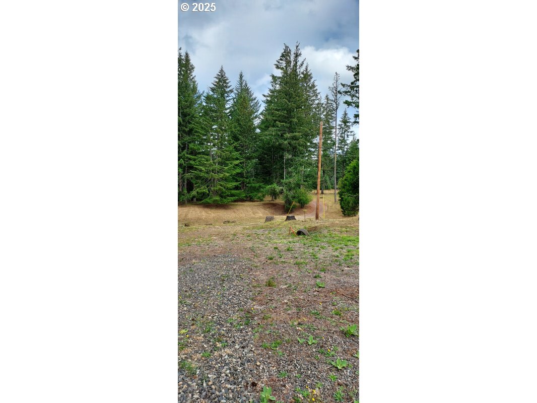 27111 South Hillockburn Road Estacada, OR 97023 - Photo 7 of 37 Gallery Image 7