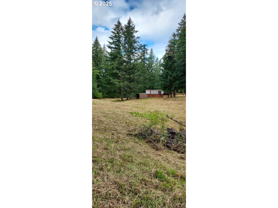 27111 South Hillockburn Road Estacada, OR 97023 - Photo 8 of 37 Gallery Image 8