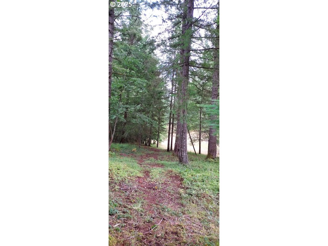 27111 South Hillockburn Road Estacada, OR 97023 - Photo 9 of 37 Gallery Image 9