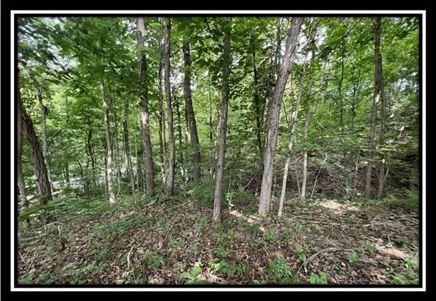 840 Whetstone Road Bainbridge, OH 45612 - Photo 18 of 24 image018
