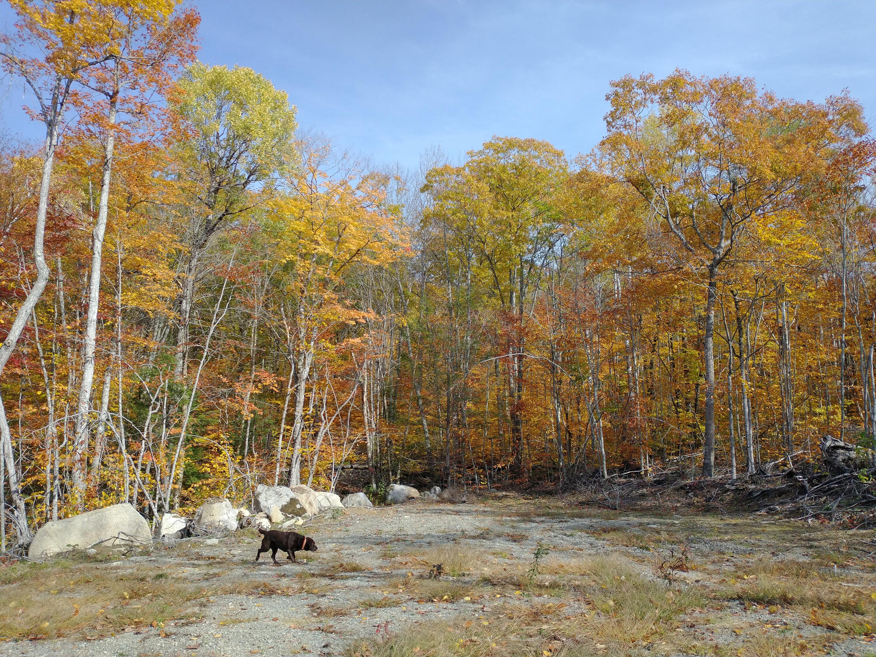 0 Airline Road Clifton, ME 04428 - Photo 17 of 32 Open area