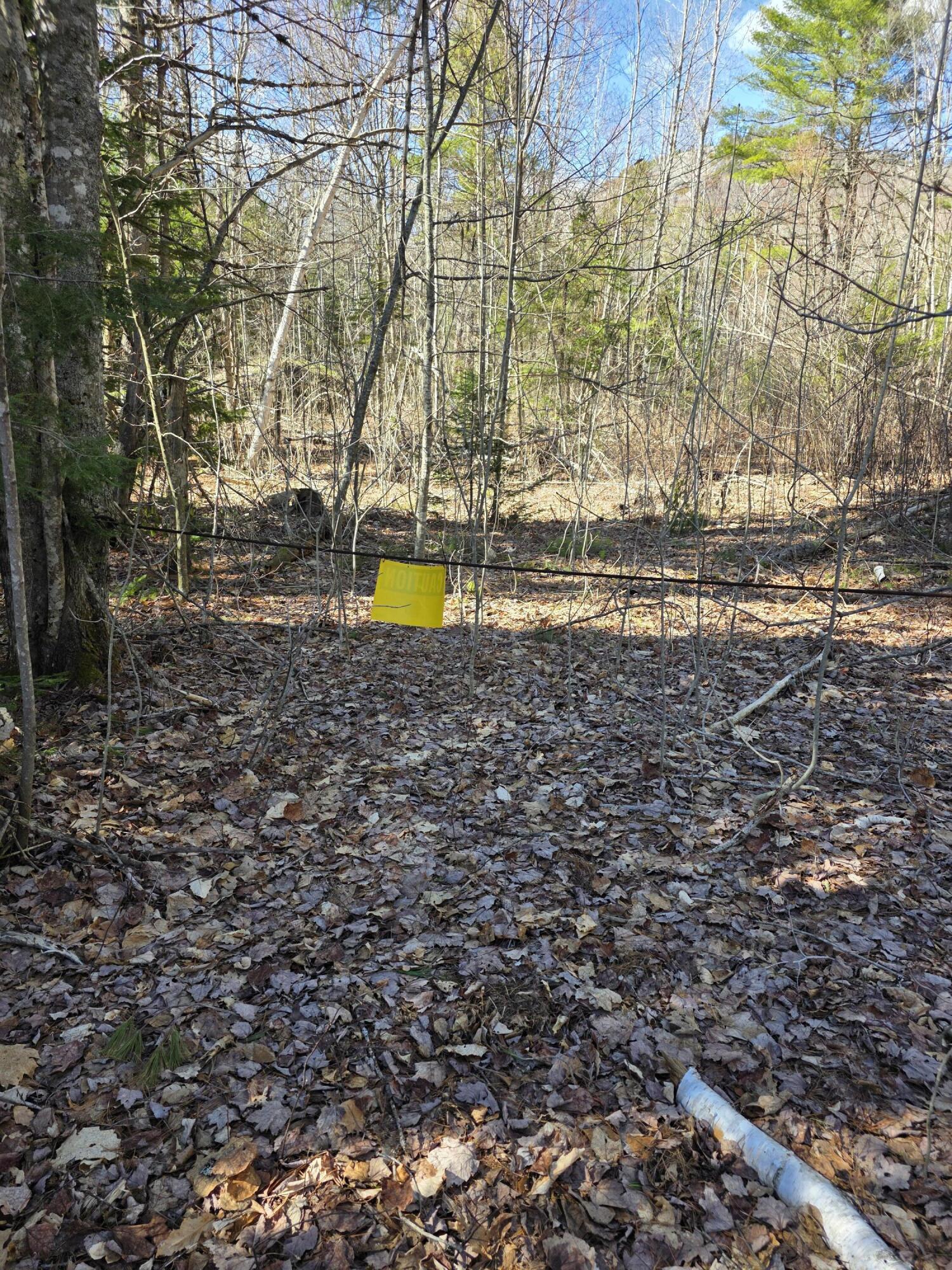 0 Airline Road Clifton, ME 04428 - Photo 25 of 32 20260425_155150
