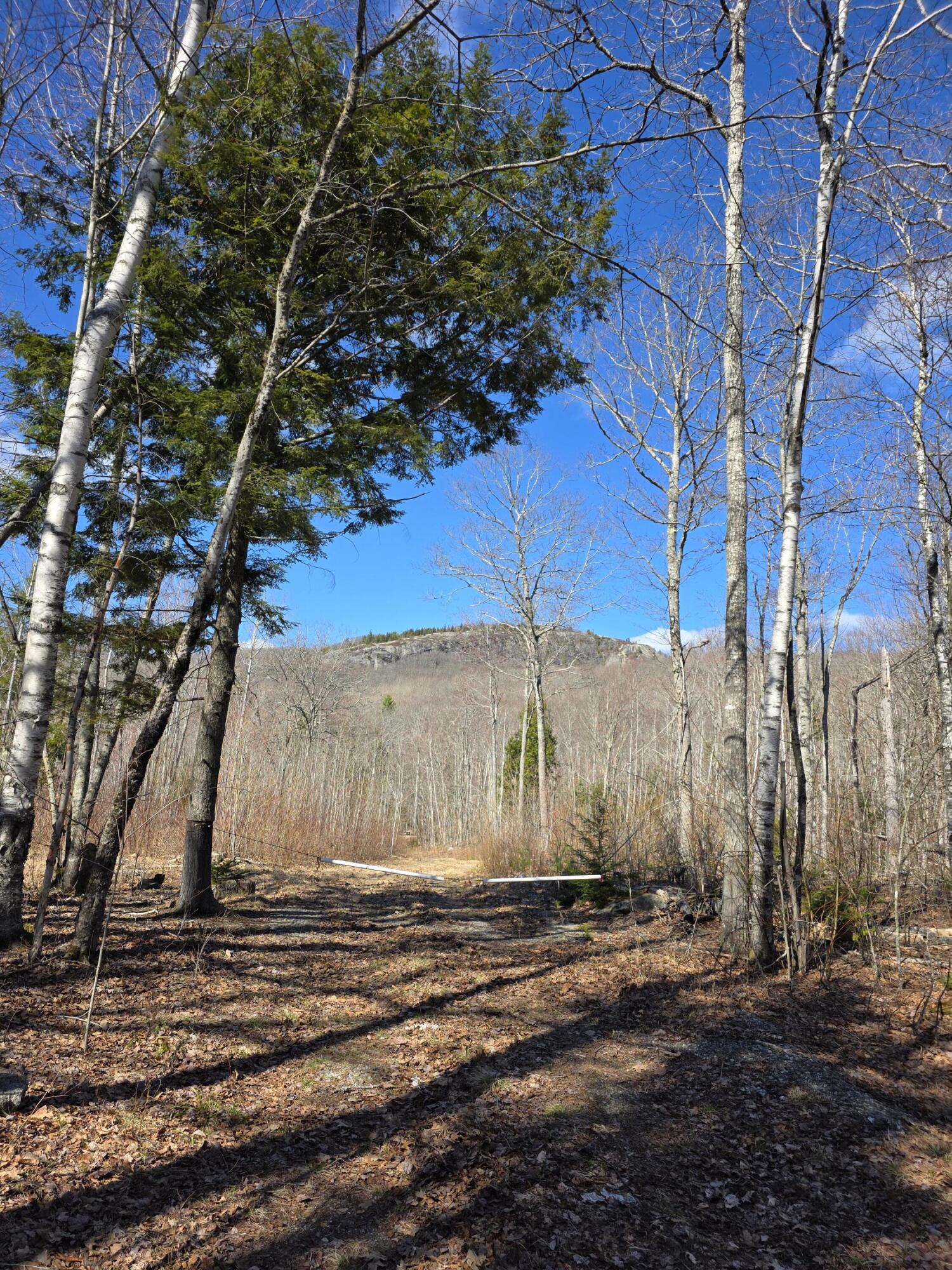 0 Airline Road Clifton, ME 04428 - Photo 26 of 32 20260425_154417