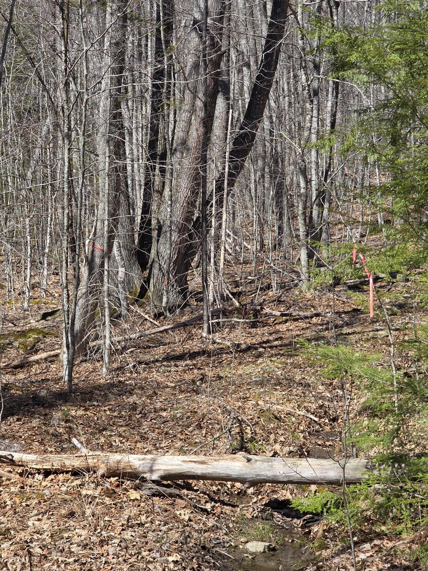 0 Airline Road Clifton, ME 04428 - Photo 27 of 32 20260425_145555