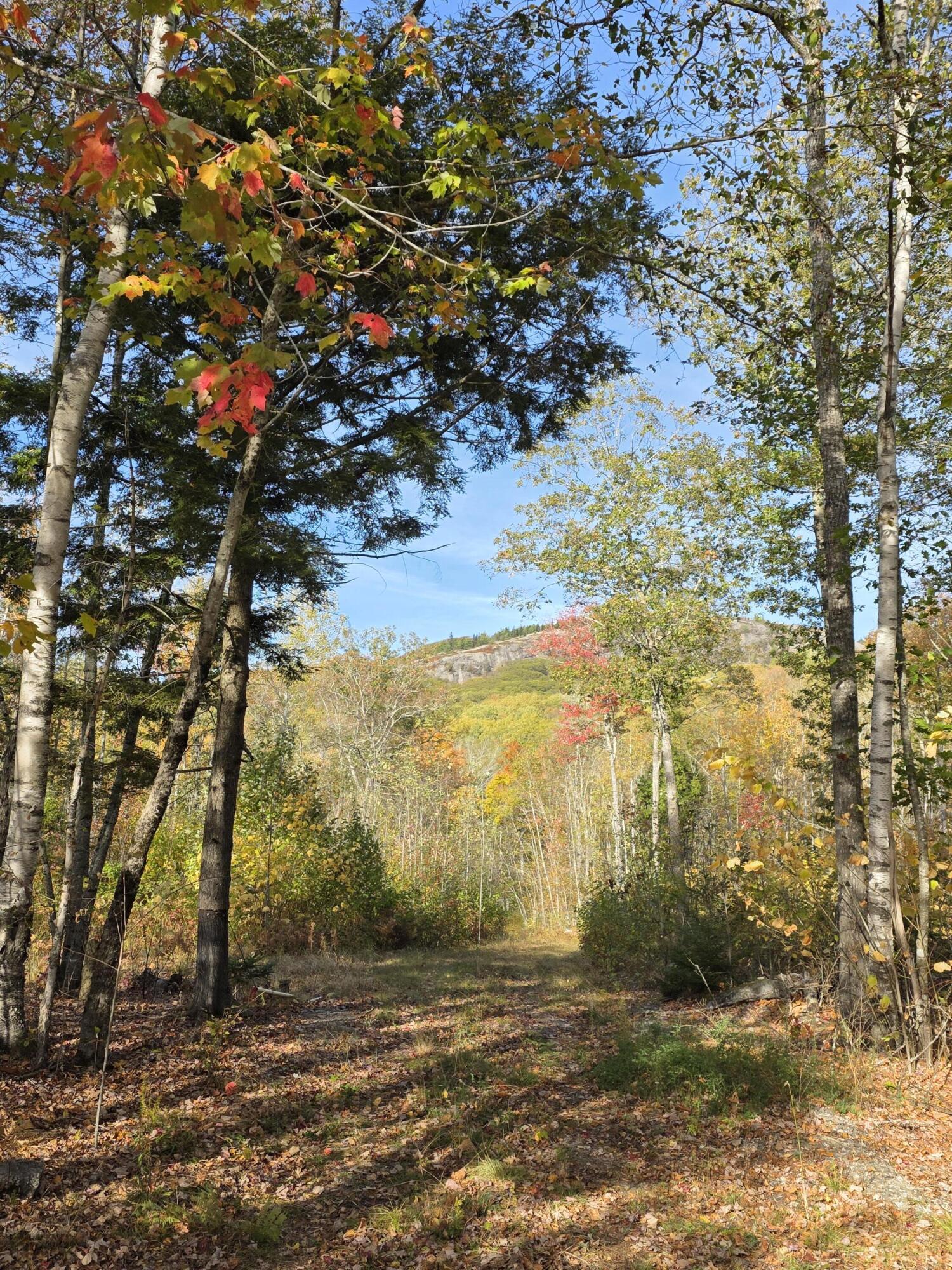 0 Airline Road Clifton, ME 04428 - Photo 28 of 32 Access fall