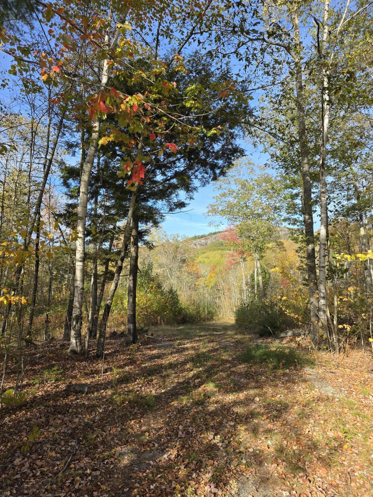 0 Airline Road Clifton, ME 04428 - Photo 29 of 32 Fall picture of access road