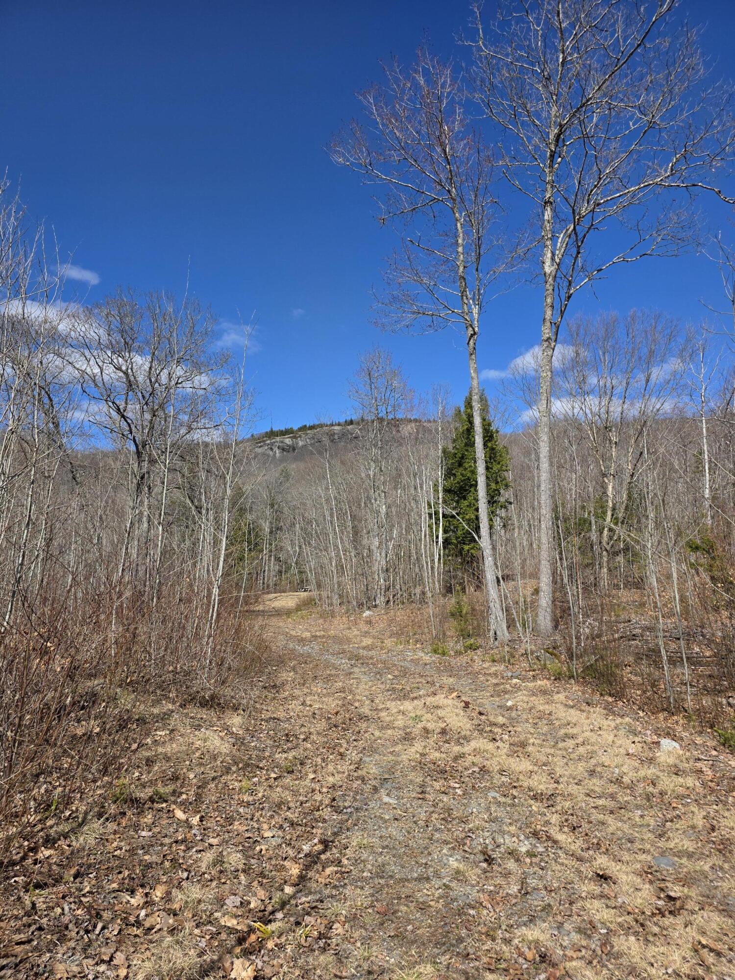0 Airline Road Clifton, ME 04428 - Photo 30 of 32 Access road