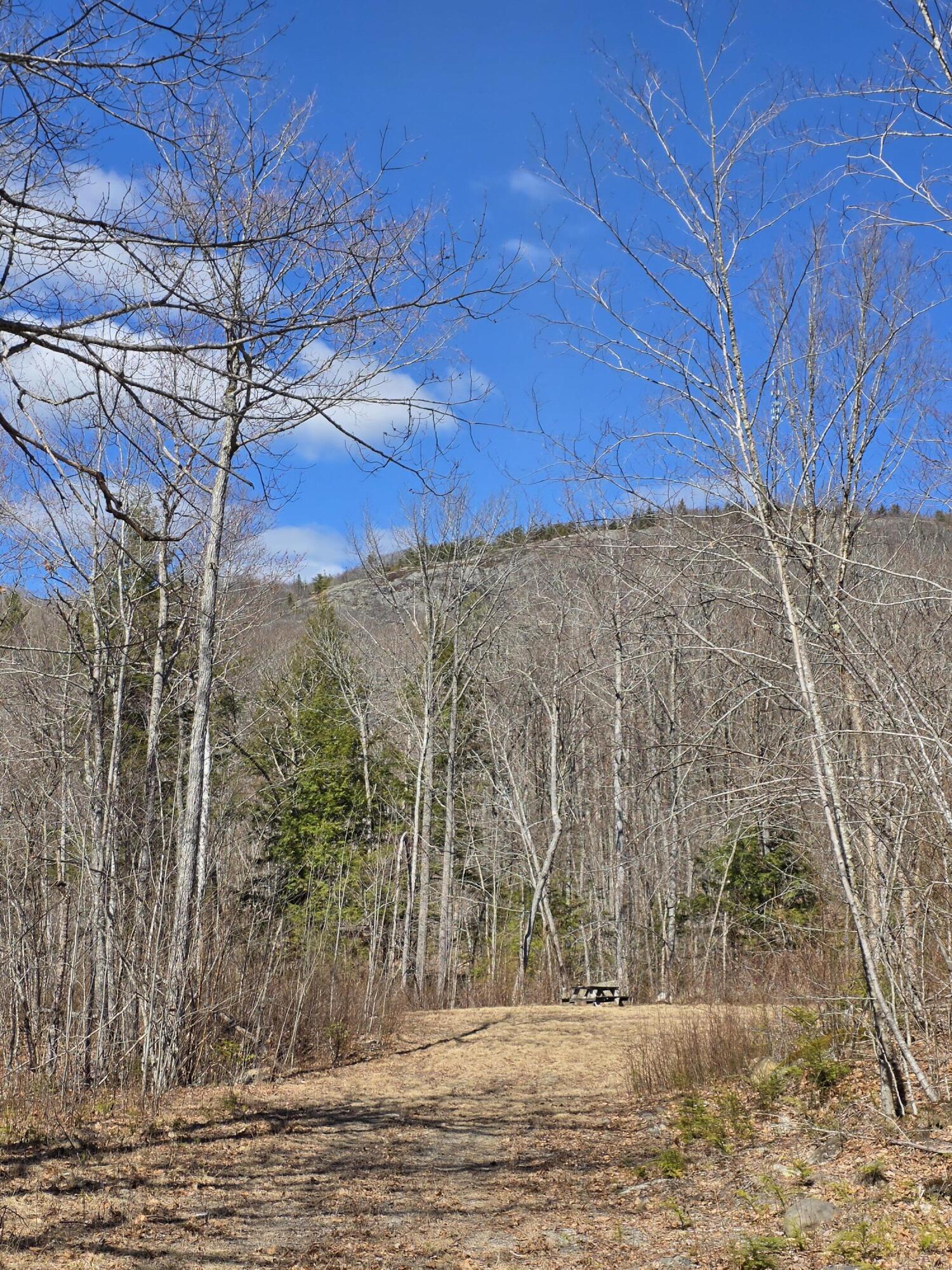 0 Airline Road Clifton, ME 04428 - Photo 31 of 32 Access road