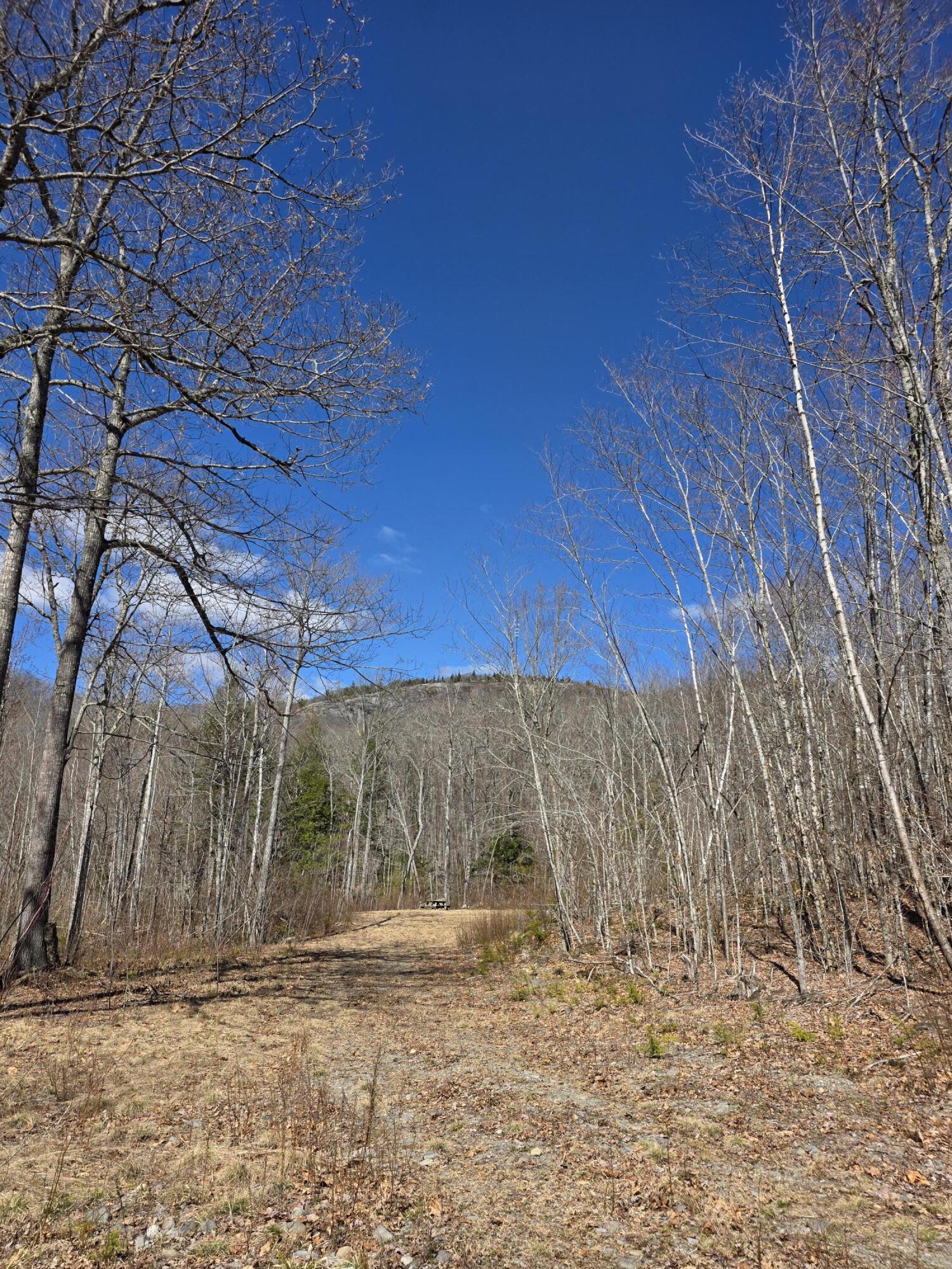 0 Airline Road Clifton, ME 04428 - Photo 32 of 32 20260425_144553