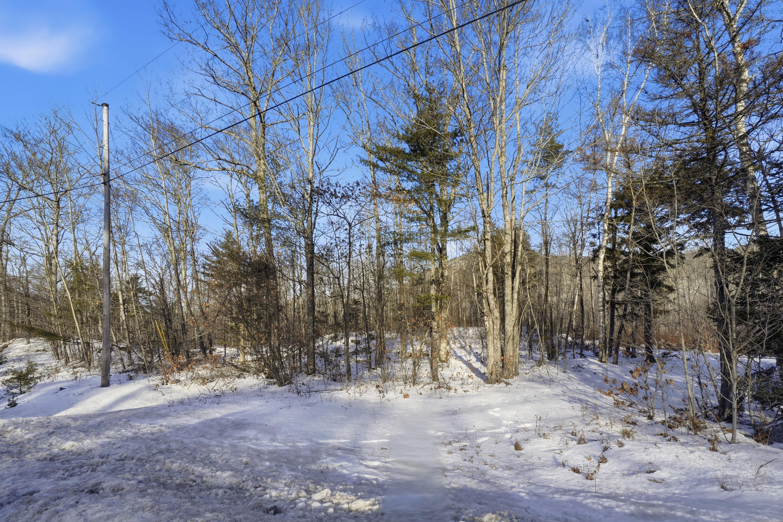 0 Airline Road Clifton, ME 04428 - Photo 5 of 32 Clifton 71 acres