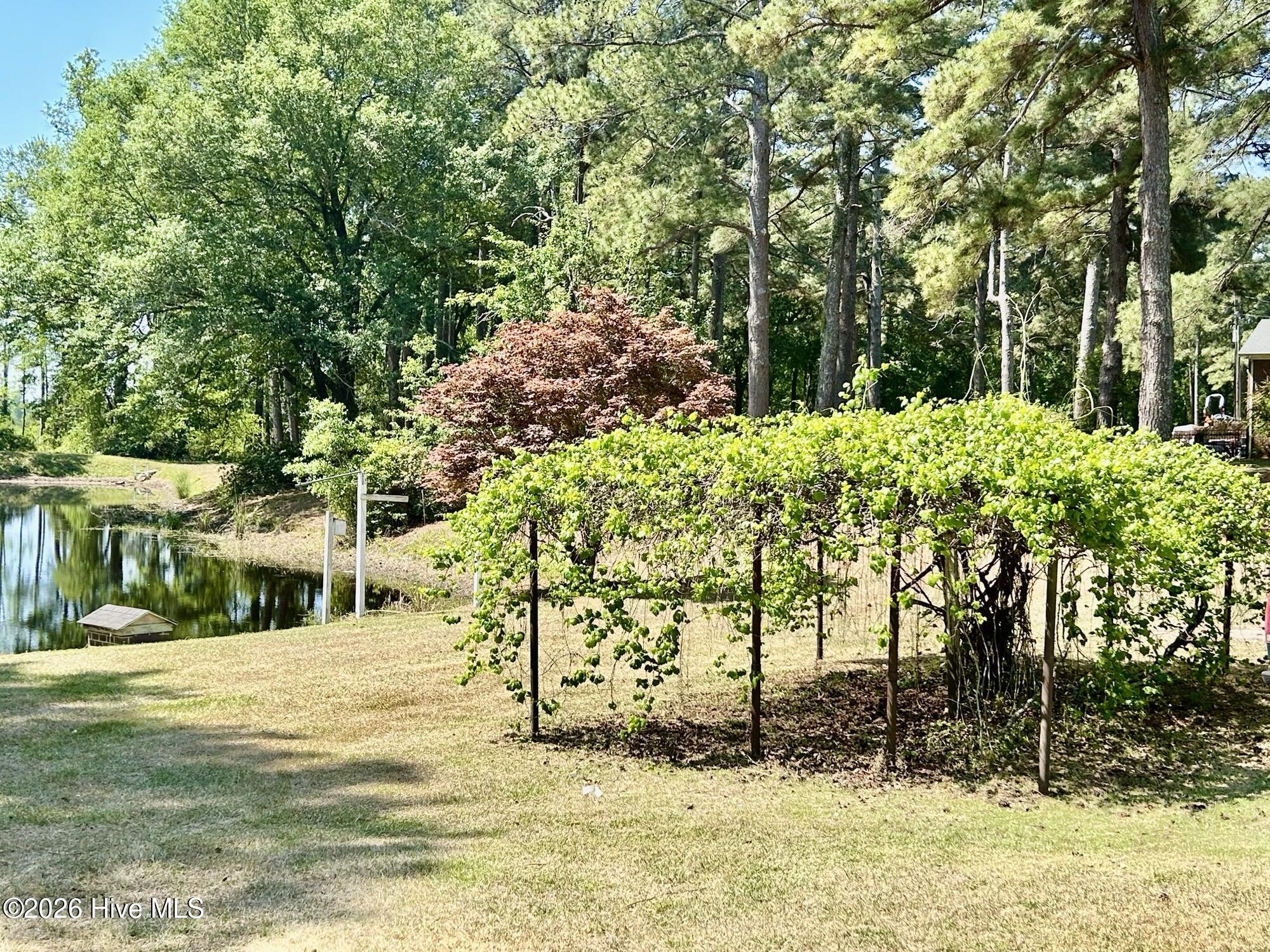 397 Johns Road Maxton, NC 28364 - Photo 26 of 32 Grape Vines
