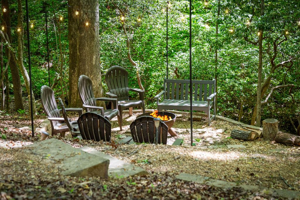 152 North Hiawatha Trail Blue Ridge, GA 30513 - Photo 95 of 101 Gallery Image 95