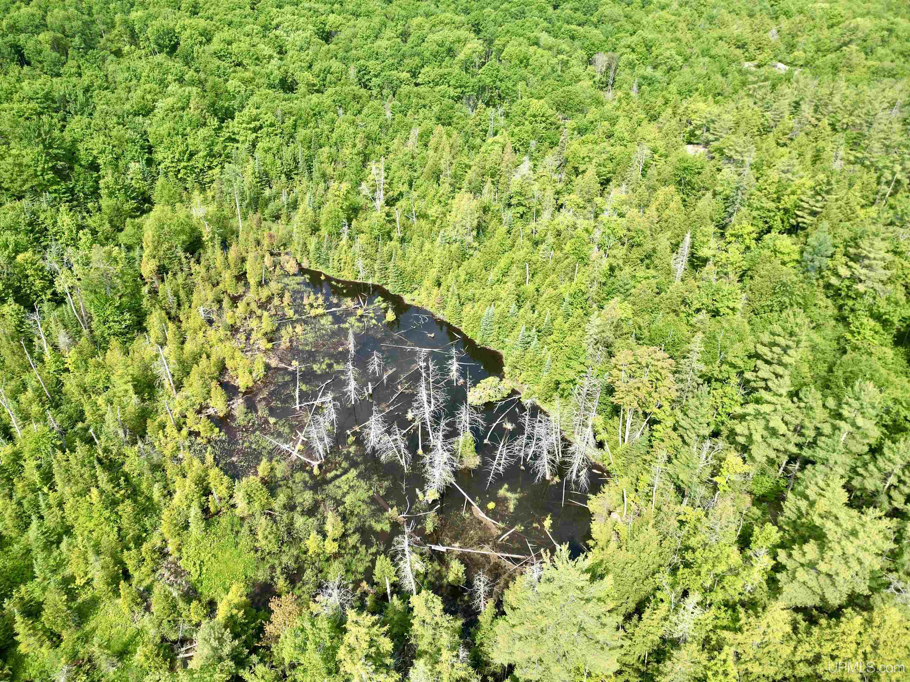510 Rd Negaunee Mi 49866 Road Negaunee, MI 49866 - Photo 69 of 71