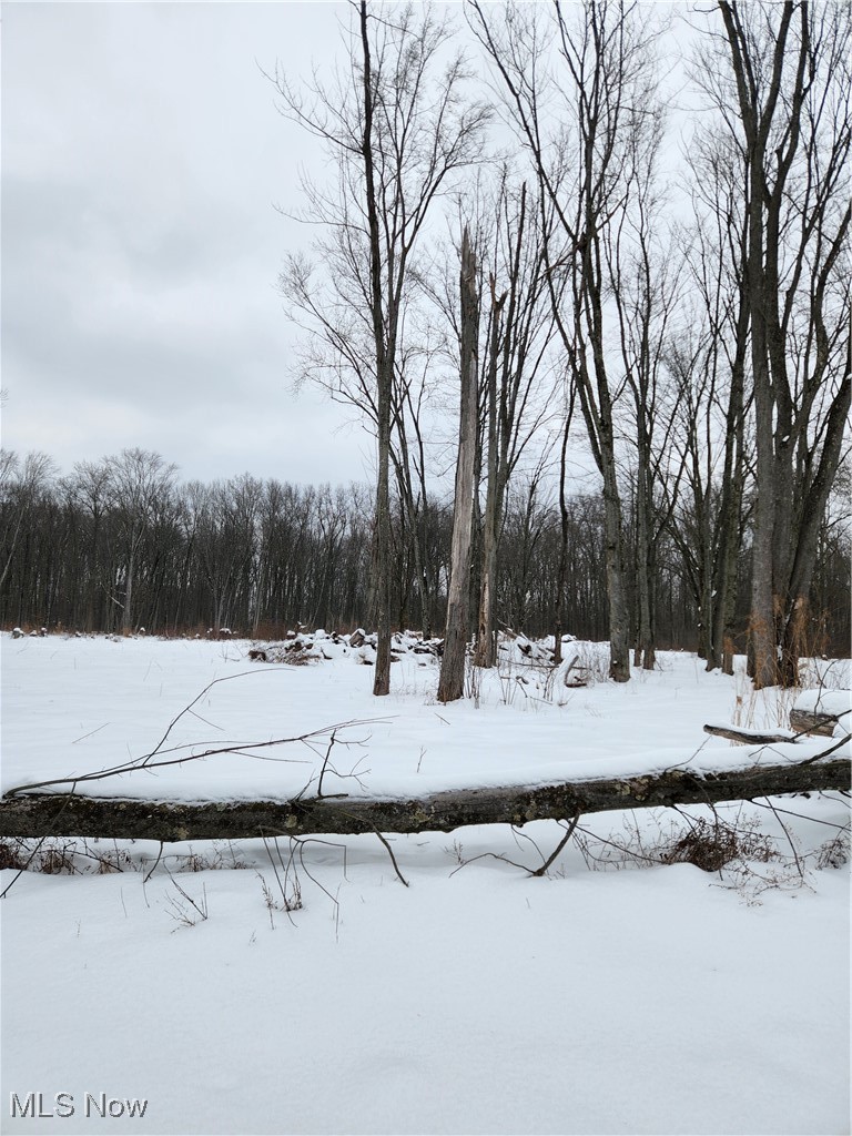 Royalton Road Columbia Station, OH 44028 - Photo 6 of 13 Snowy yard featuring a forest view